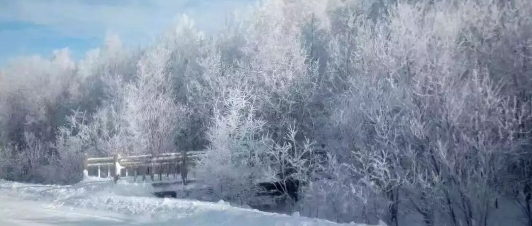 奕行記|奕路向北，駛向雪國阿爾山